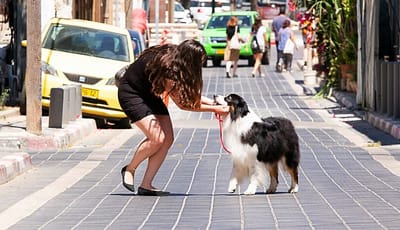 רגמונים מצטלמים ומחייכים