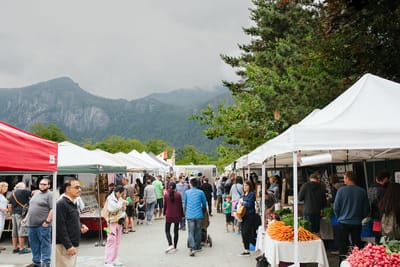 Guide To Vancouver, WA 98685