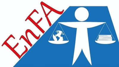 Como funciona o EnFA? image