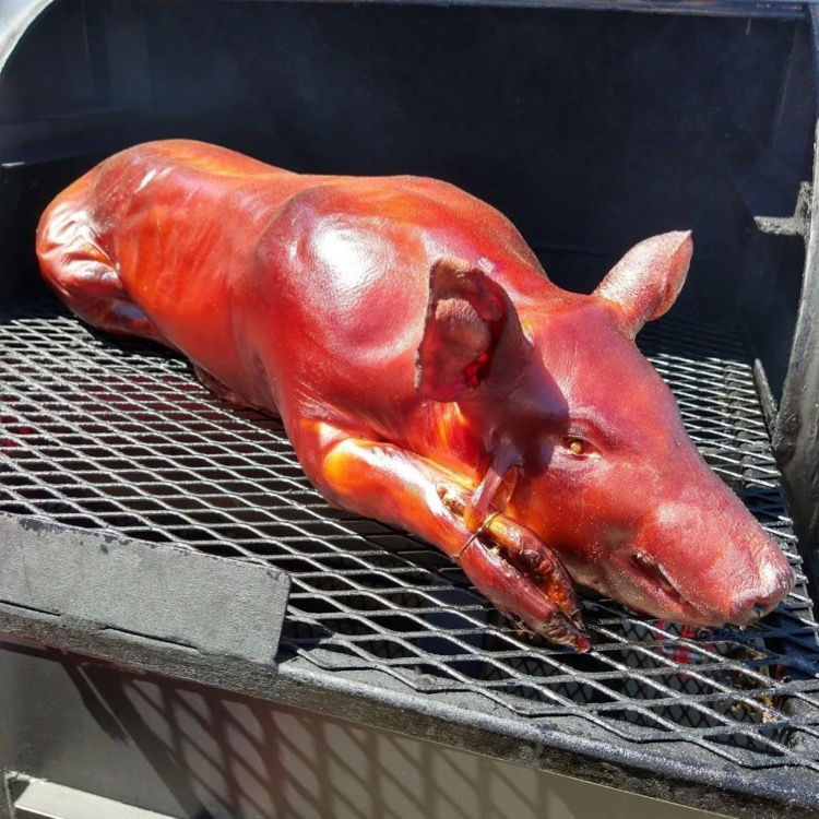 Whole Hog
