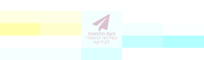 רייזי וייס קוסמטיקאית רייזי וייס קוסמטיקאית