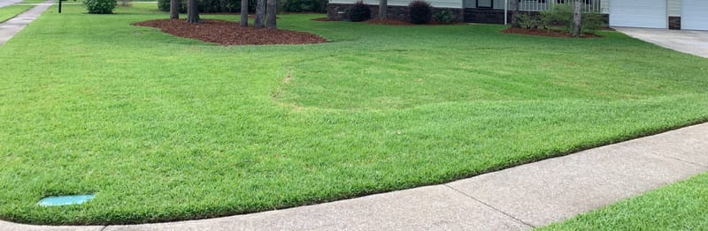 Maintenance and Softscapes