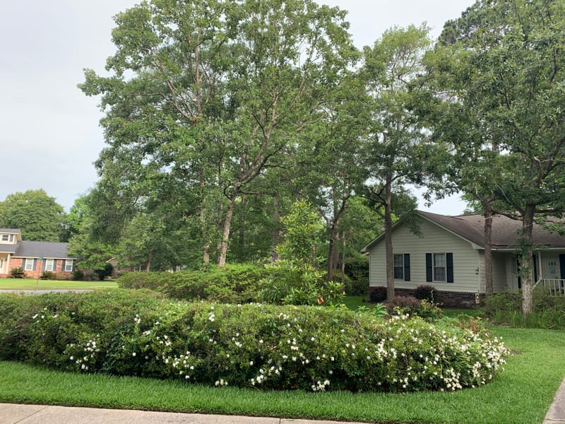 Freshly cut grass allows you to see your property in a different way or just to retouch those awful places. Which ever your need we have you covered.