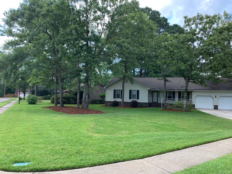 Freshly cut grass allows you to see your property in a different way or just to retouch those awful places. Which ever your need we have you covered.