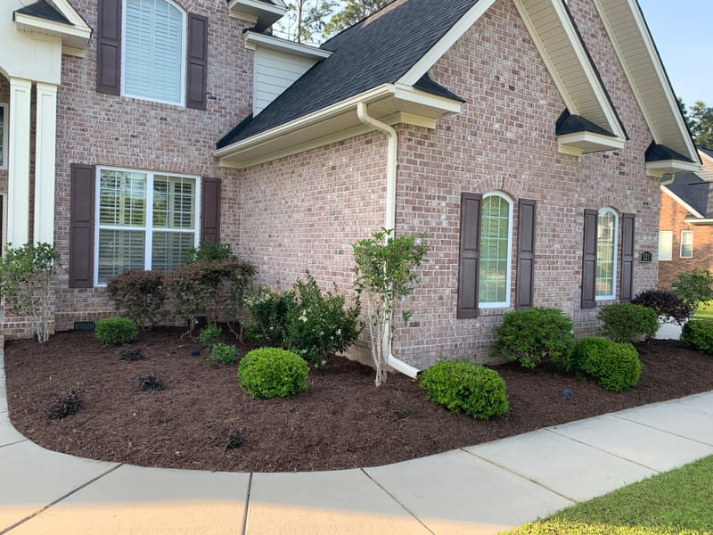 Freshly cut grass allows you to see your property in a different way or just to retouch those awful places. Which ever your need we have you covered.