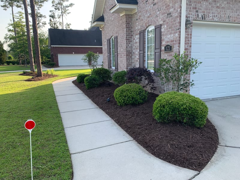 Freshly cut grass allows you to see your property in a different way or just to retouch those awful places. Which ever your need we have you covered.