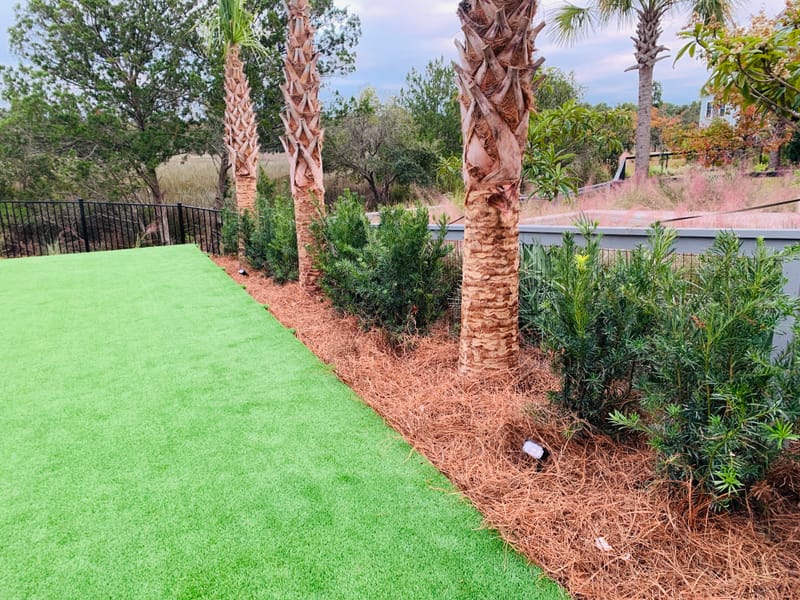 Freshly cut grass allows you to see your property in a different way or just to retouch those awful places. Which ever your need we have you covered.