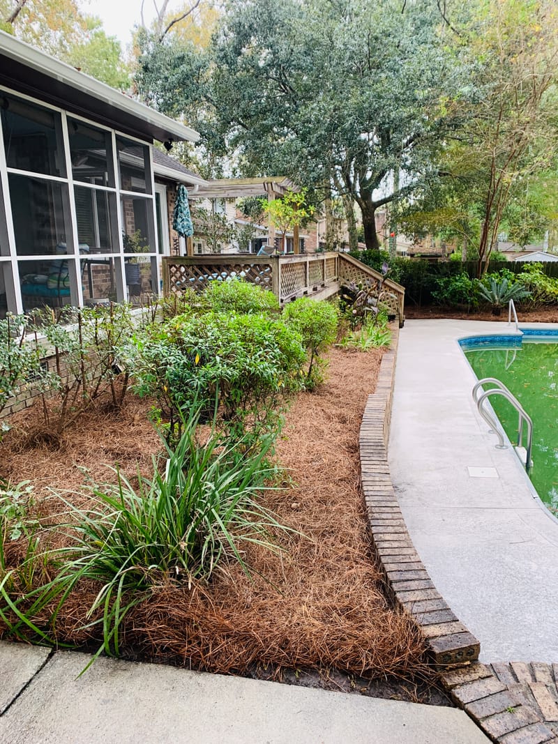 Freshly cut grass allows you to see your property in a different way or just to retouch those awful places. Which ever your need we have you covered.