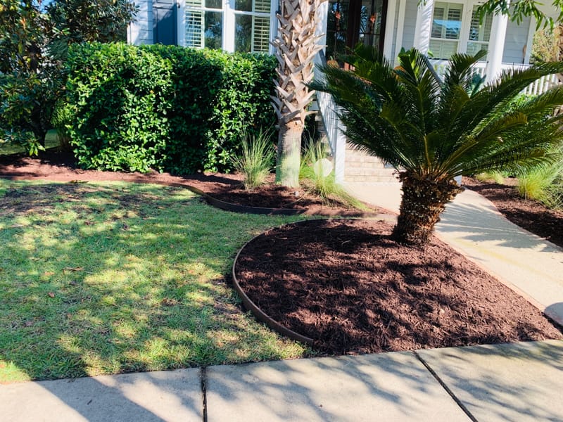 Freshly cut grass allows you to see your property in a different way or just to retouch those awful places. Which ever your need we have you covered.