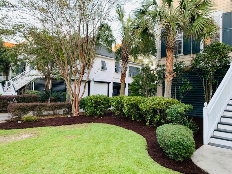 Freshly cut grass allows you to see your property in a different way or just to retouch those awful places. Which ever your need we have you covered.