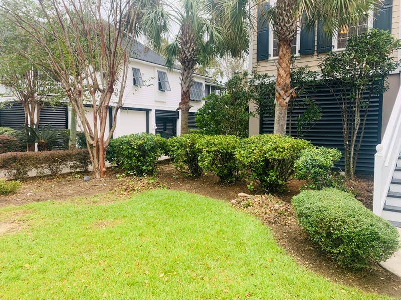 Freshly cut grass allows you to see your property in a different way or just to retouch those awful places. Which ever your need we have you covered.