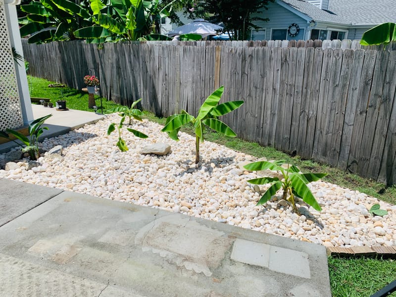 Freshly cut grass allows you to see your property in a different way or just to retouch those awful places. Which ever your need we have you covered.