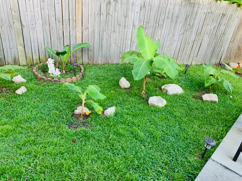 Freshly cut grass allows you to see your property in a different way or just to retouch those awful places. Which ever your need we have you covered.