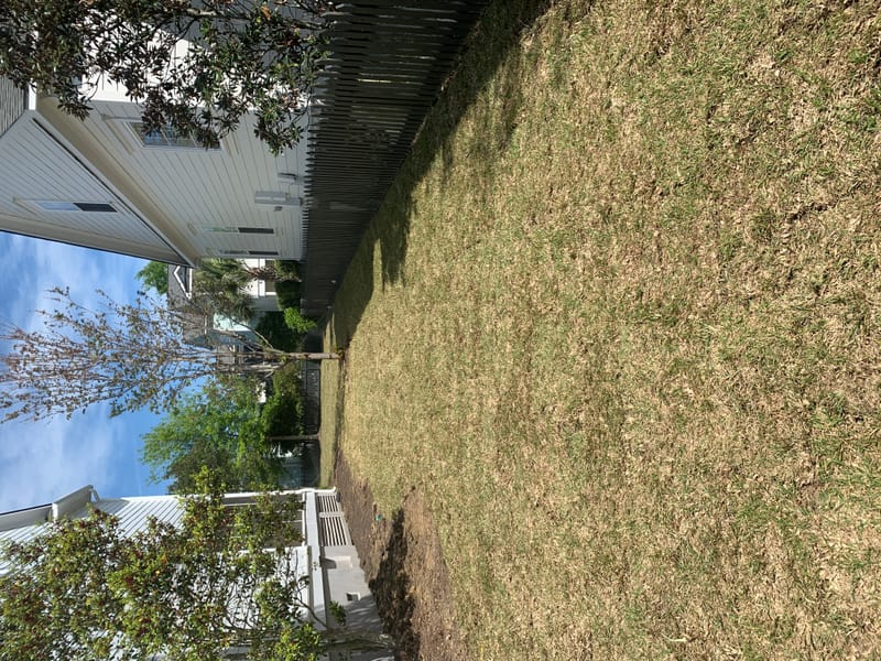 Freshly cut grass allows you to see your property in a different way or just to retouch those awful places. Which ever your need we have you covered.