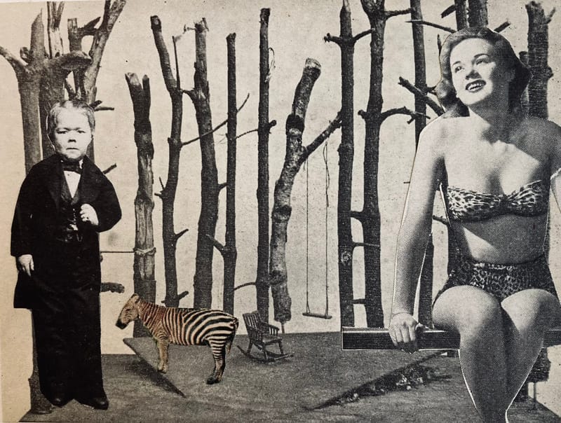 LEFT: The Land That Time Forgot (2021) Collage, 14.3 cm x 19.3 cm ~ CENTRE: Under The Volcano (2021) Collage, 18 cm x 13 cm ~ RIGHT: Waiting For Munroe (2021) Collage 16 cm x 12 cm