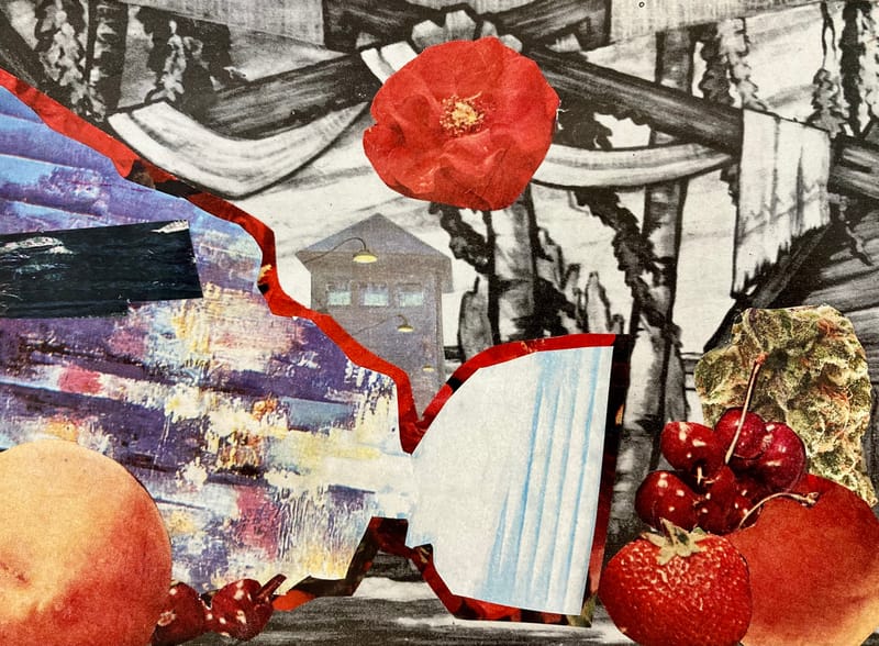 LEFT: Stiff Life (2021) Collage, 18 cm x 13 cm ~ CENTRE: Garden Of Eden After Dark (2021) Collage, 13.5 x 15 cm ~ RIGHT: Khufu At Night (2021) Collage 12 cm x 13 cm