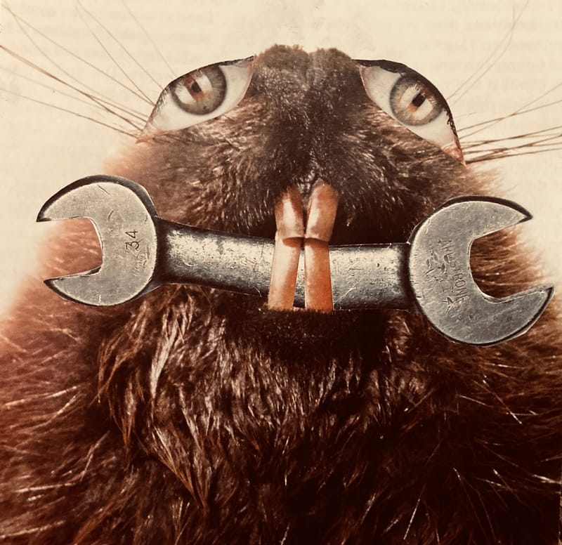 LEFT: Isis Oh Isis (2023) 20 cm x 25cm ~ CENTRE: The Jaws Of Life (2023) 12 cm x 12 cm ~ RIGHT: Approve This Message (2023) 12 cm x 12 cm