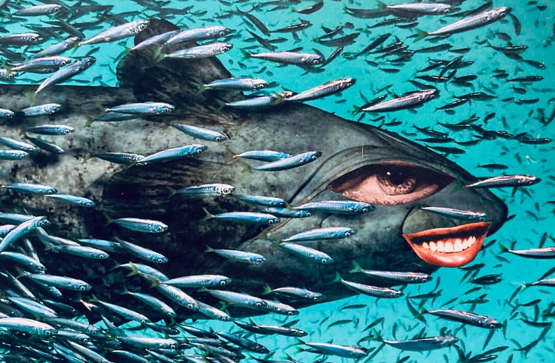 LEFT: Capital, It Fails Us Now (2023) 16 cm x 11 cm ~ CENTRE: Sacred Cow (2023) 11 cm x 16 cm ~ RIGHT: Face The Music (2023) 17 cm x 13 cm