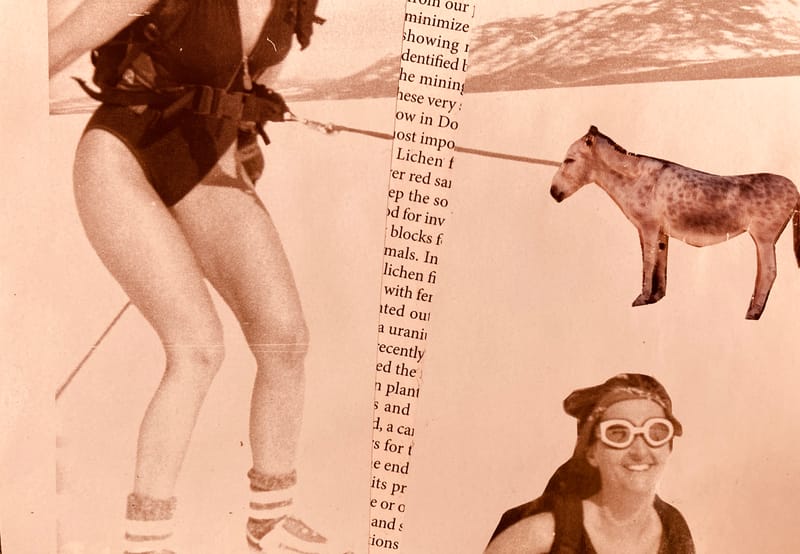 LEFT: Azrael Angel Of Death (2024) 13 cm x 9 cm ~ CENTRE: Snow Day (2024) 18 cm x 13 cm ~ RIGHT Skijoring (2024) 