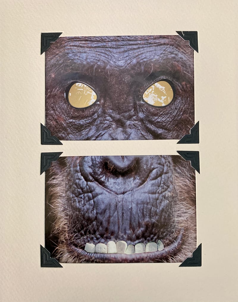 LEFT: Masquerade (2024) 18 cm x 13 cm ~ CENTRE: Kong Up Close and Personal (2024) 20.5 cm x 25.5 cm ~ RIGHT: Winter Is Coming (2024) 17 cm x 12 cm