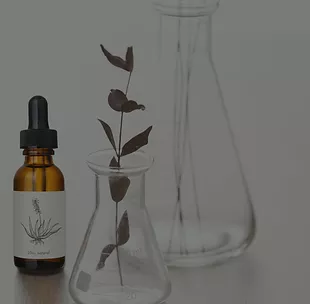 Botanical  Medicine