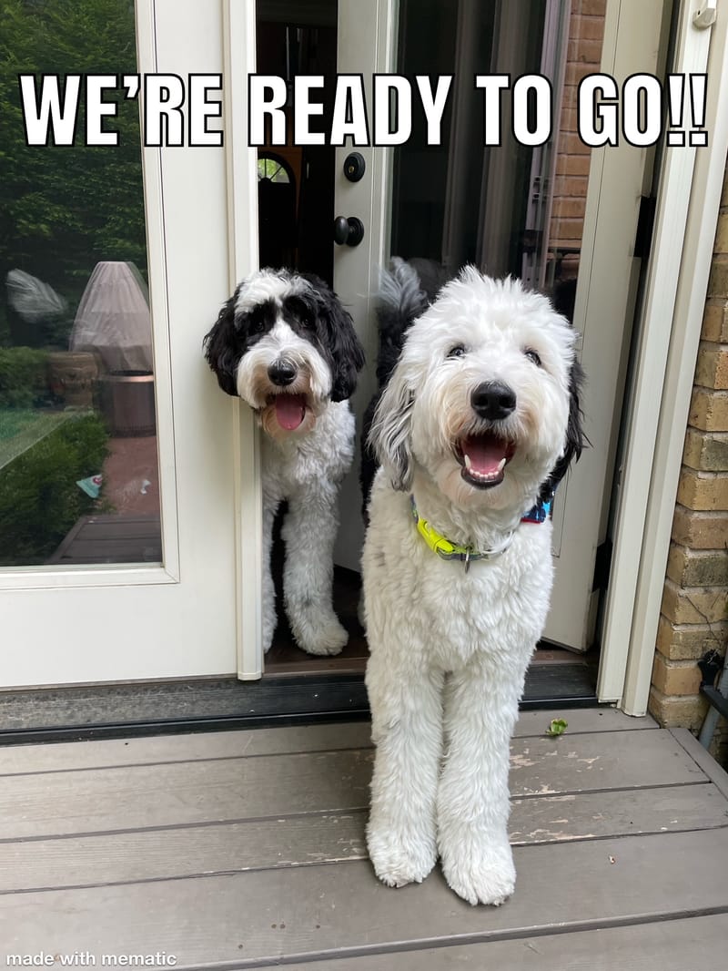 Oh the places we will go!