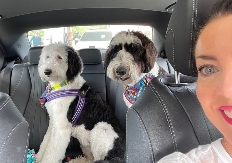 Day 1 - St. Louis to Kansas City