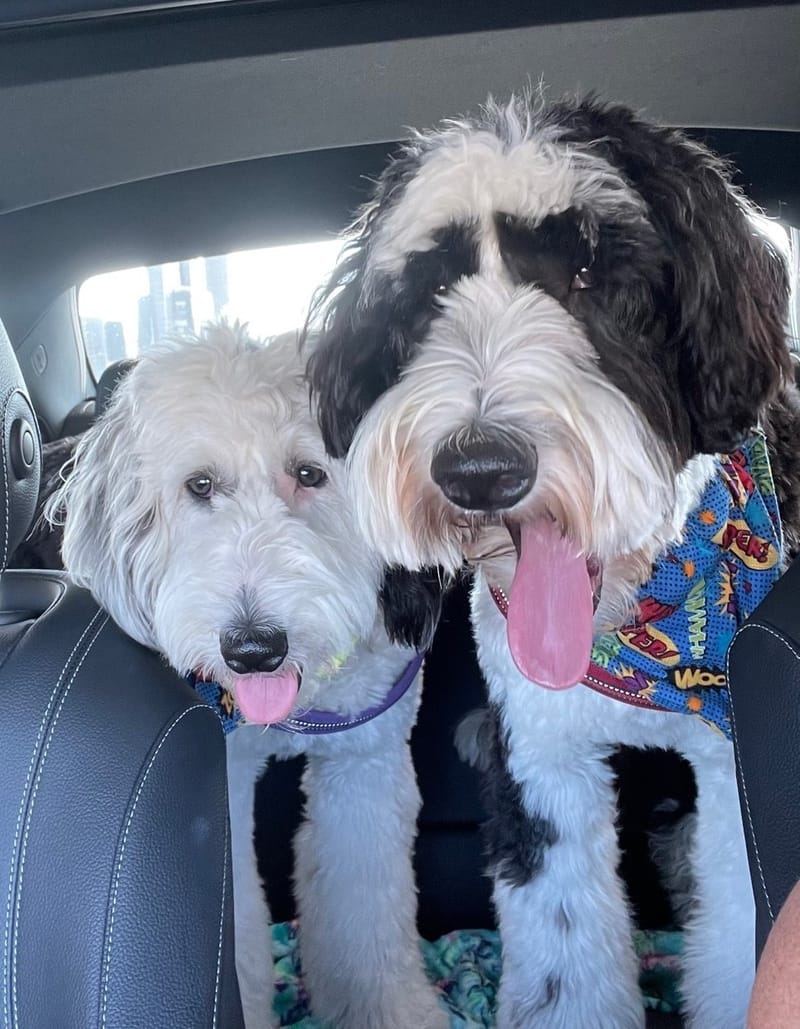 Day 3 - Kansas City to Boulder