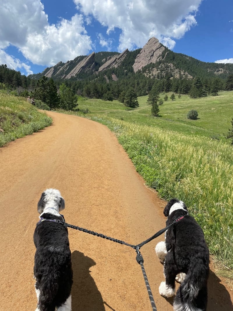 Day 4 - That's a Nice Boulder