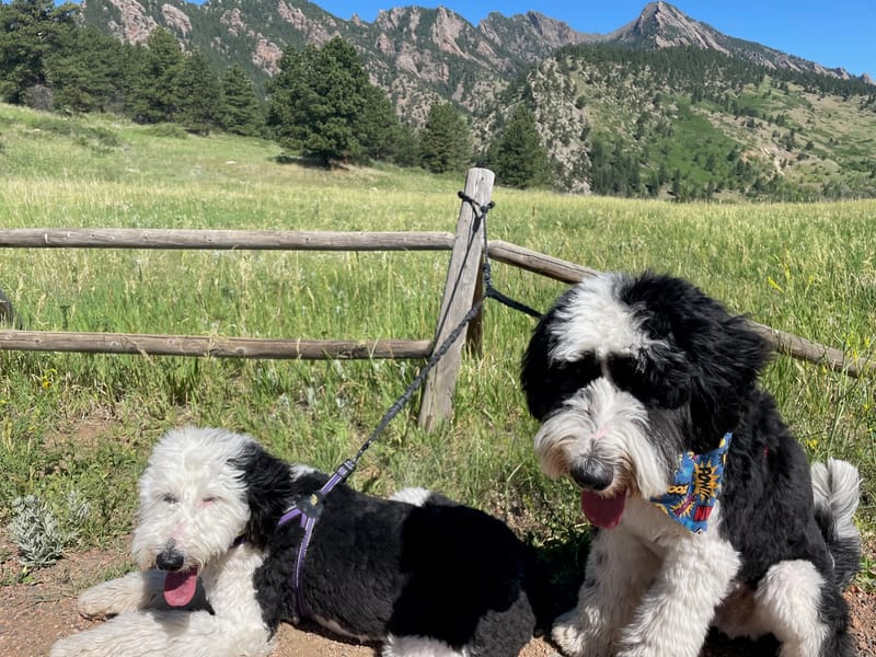 Day 5 - The Legend of El Dorado Canyon