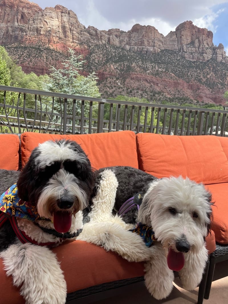 Day 7 - Grand Junction to Zion