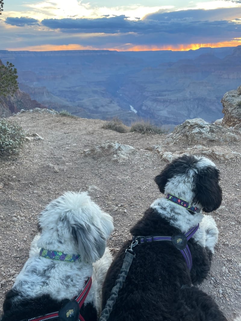 Day 12 - Grand Canyon x Two