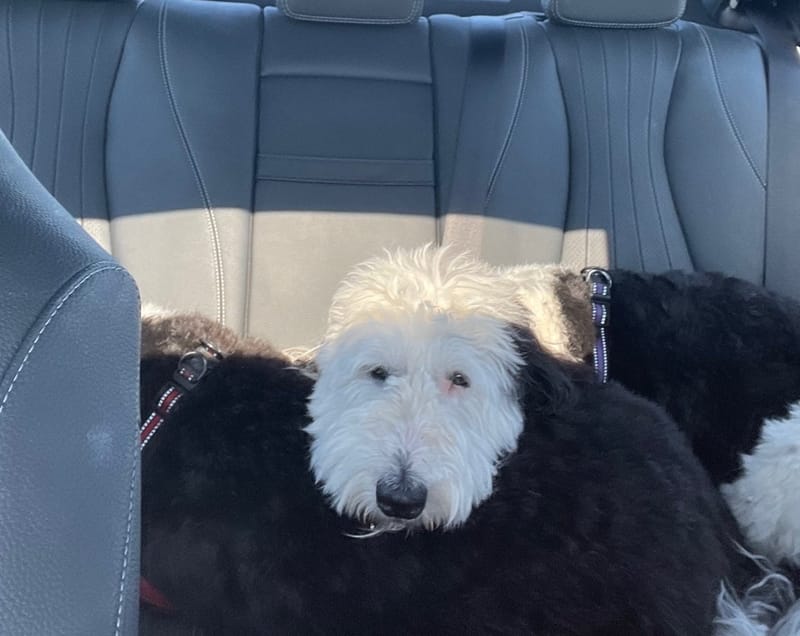 Day 14 - Albuquerque to Oklahoma City