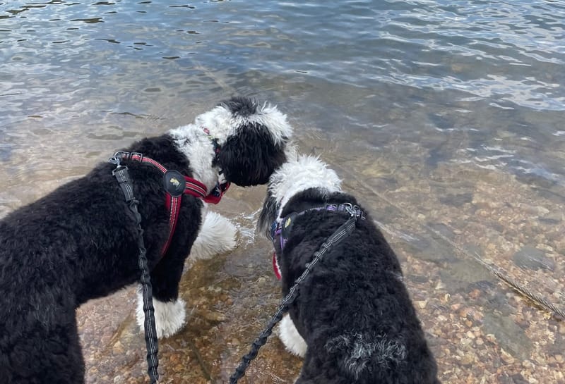 Day 15 - 18 Table Rock Lake & Home Sweet Home