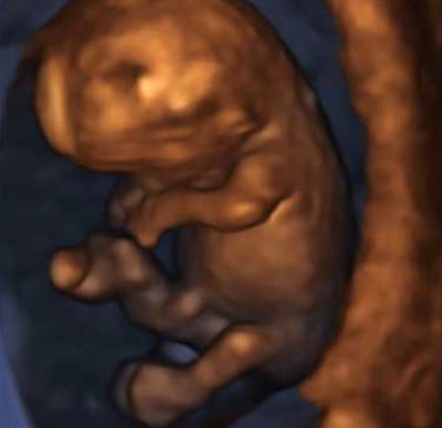 Gravidanza: dal primo giorno all’8ª settimana