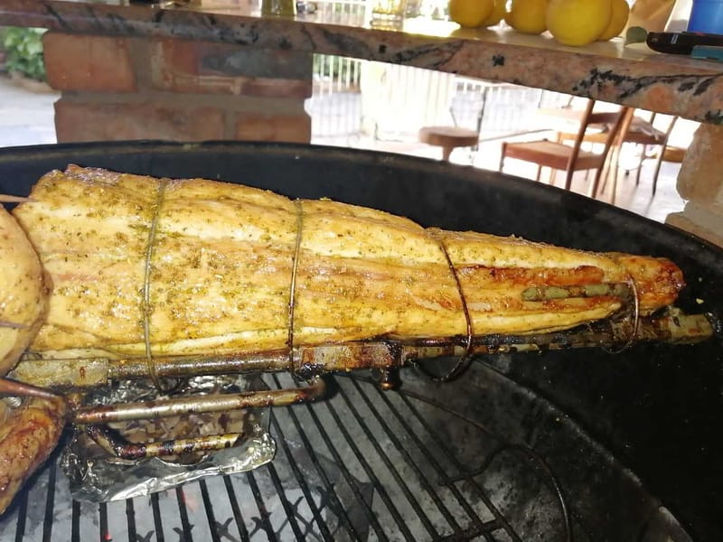Crocodile tail on the Spit
