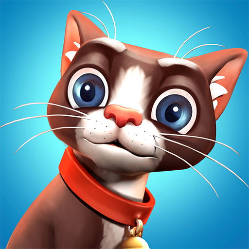 Stray Cat Survival