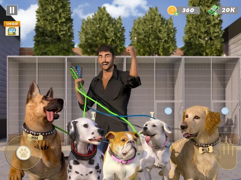 Animal Shelter Pet Rescue Game