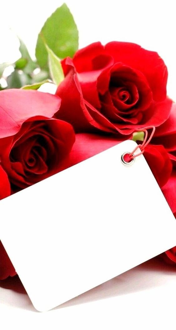 ROMANTIC LOVE LETTER