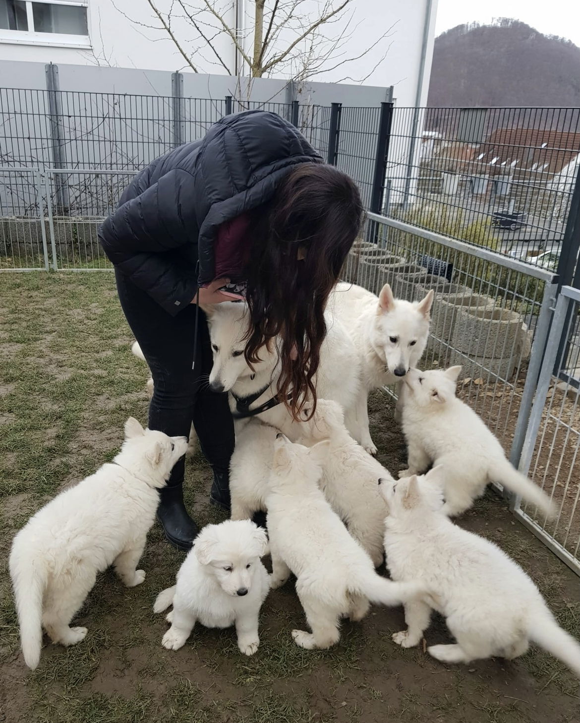 Zu Besuch bei den Halbgeschwistern