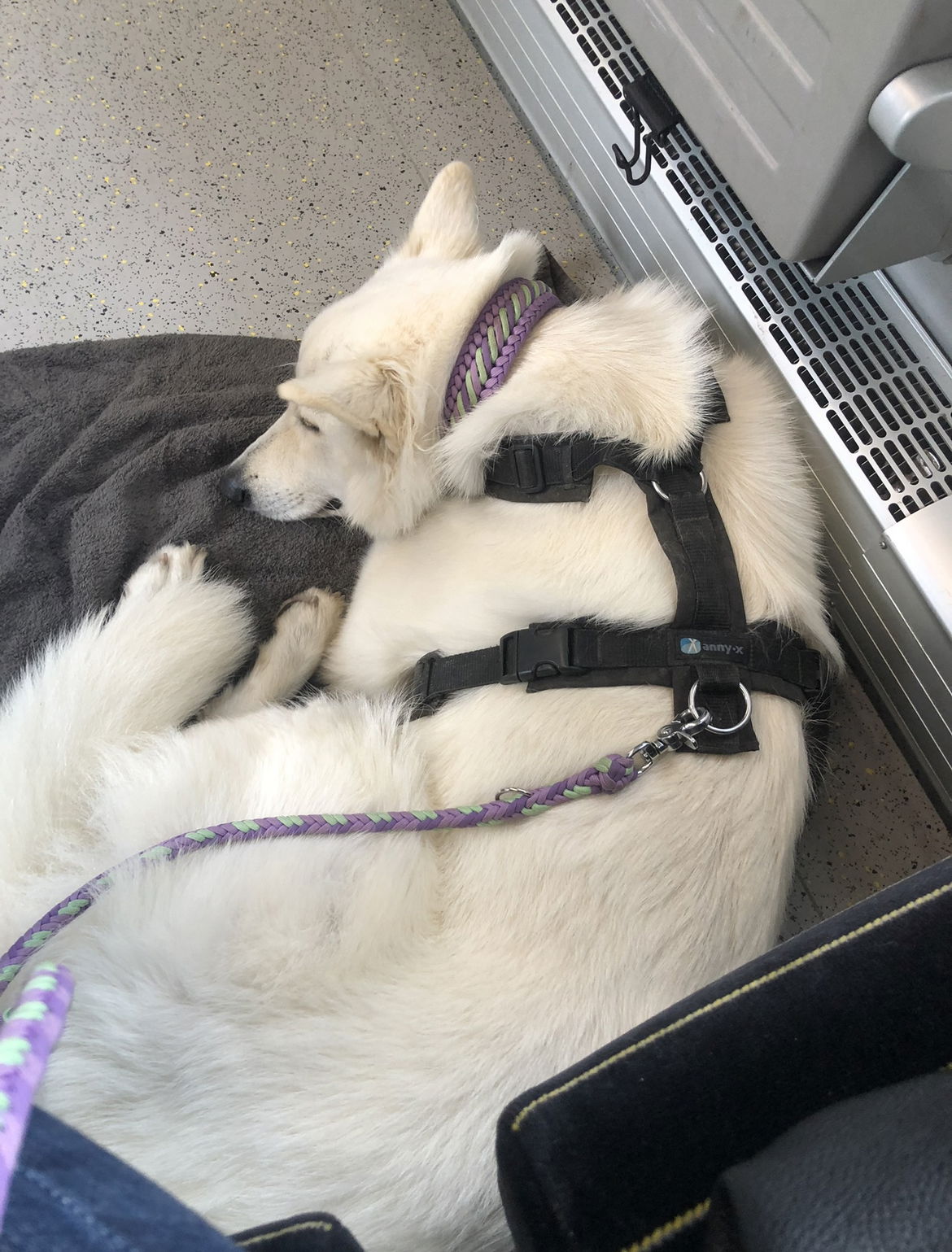 Auf dem Weg zur Arbeit mit der Bahn