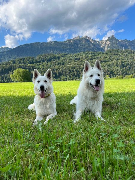 Ilvy und ihr Mister Right "Ural Iz Beloy Brigady"