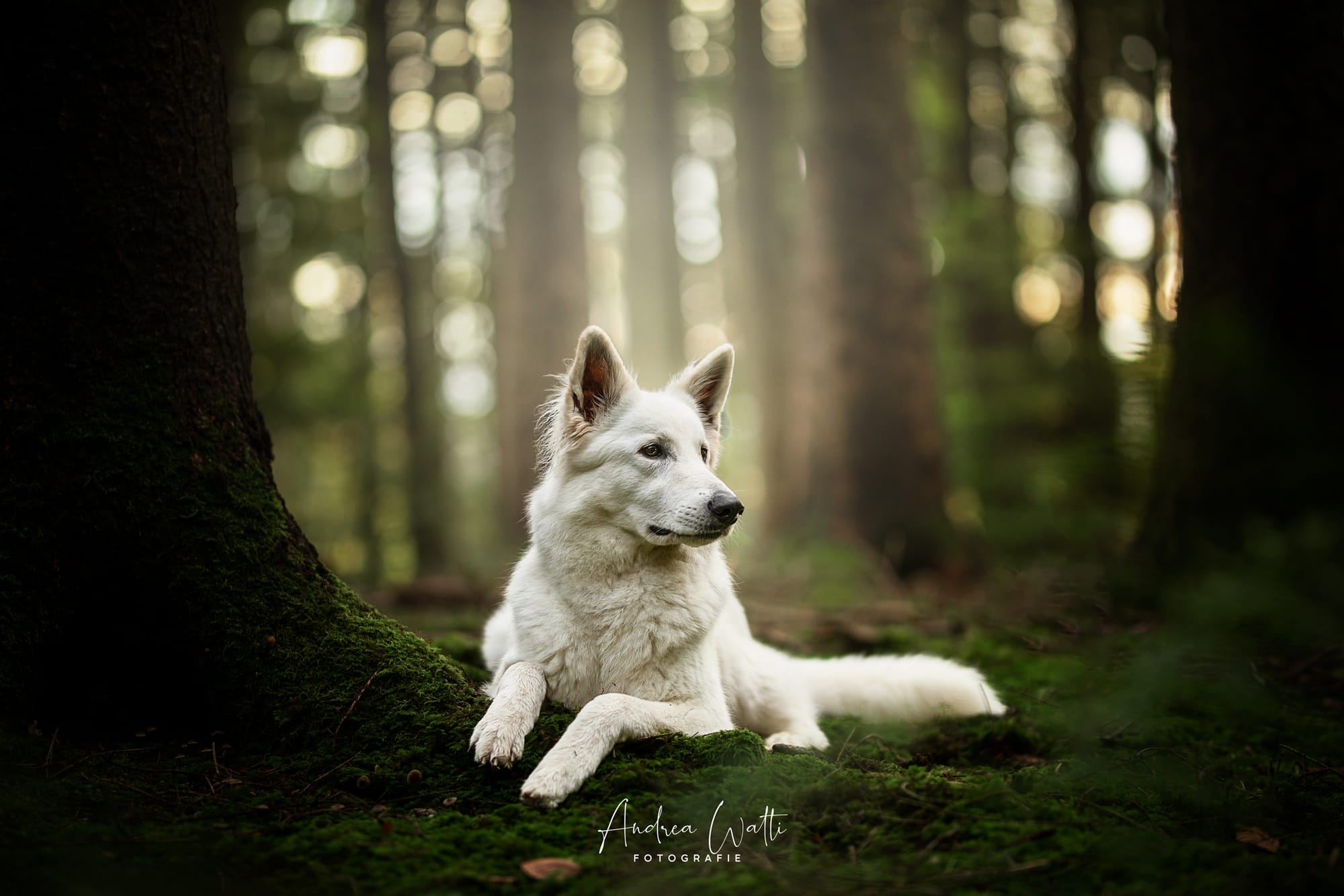 als Model beim Fotoworkshop von Anne Geier