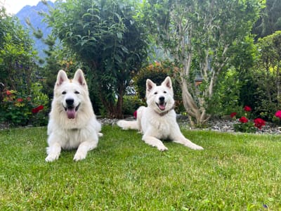 Der Start in das Abenteuer