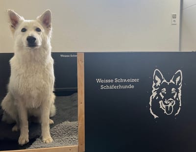 Schwangerschaftsgelüste