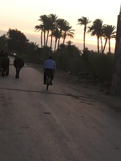 صوره تحكى قصه كفاح