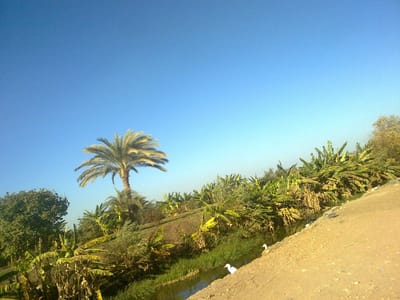 عيش الحياة التي تتمناها في كمباوند ماونتن فيو هايد بارك بعزبة الحاج سيد