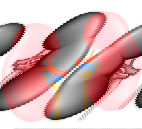 Why People Must Choose The Functional Kidney Therapy?