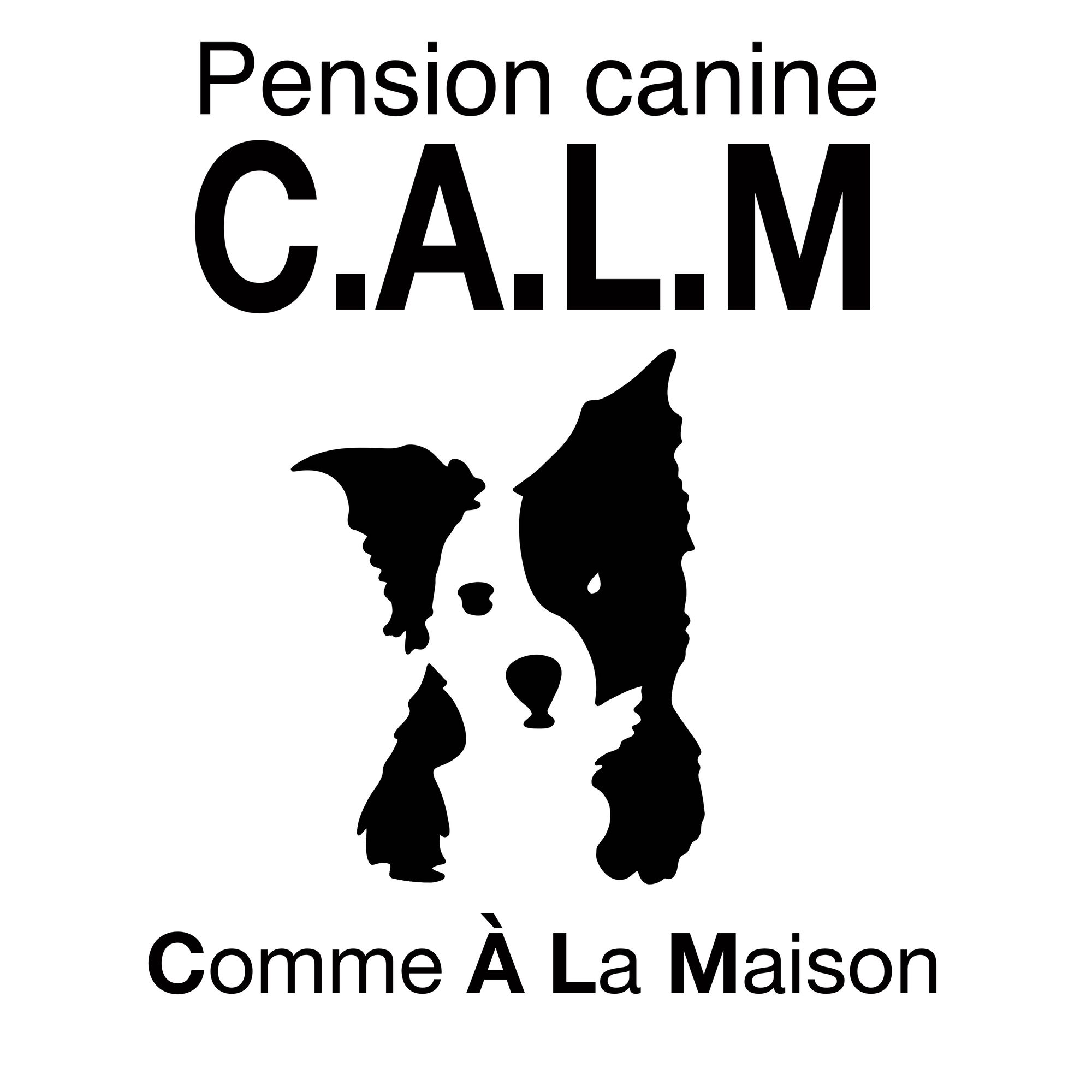 Logo pension canine