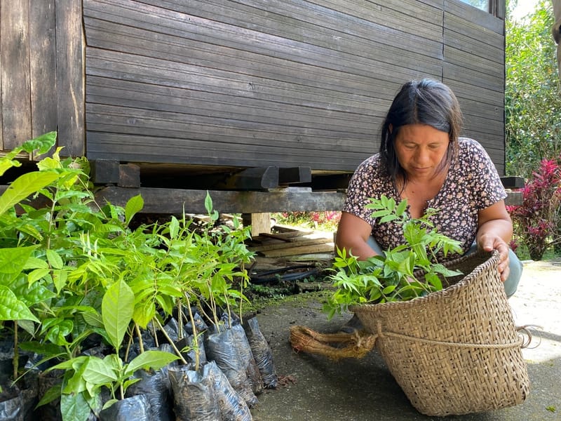 La restauración de fuentes de agua en Fátima beneficiará a 75 familias